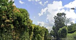 Victoria Park Close (D10), Detached #510840191